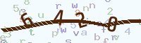Verify Code